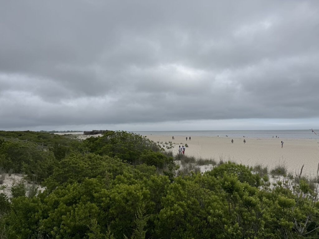 a beach with people walking on it (MyCoast AI)