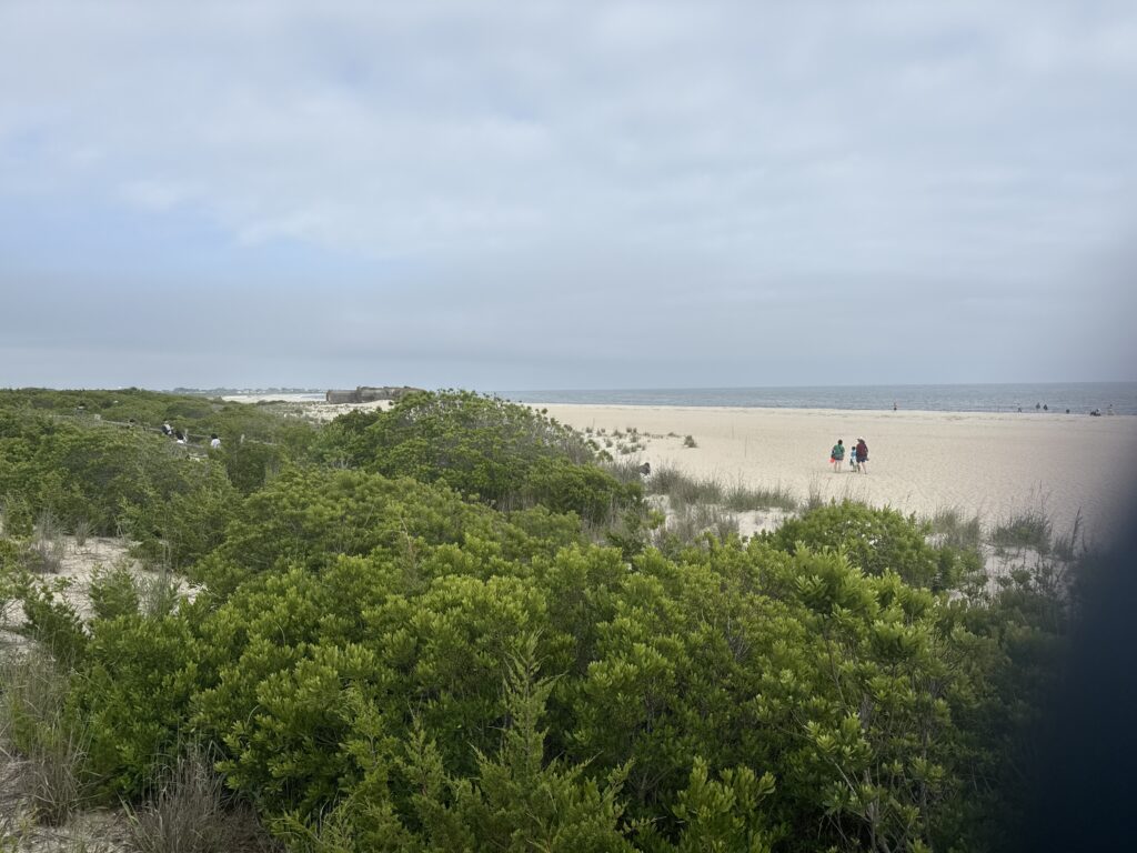 a group of people walking on a beach (MyCoast AI)