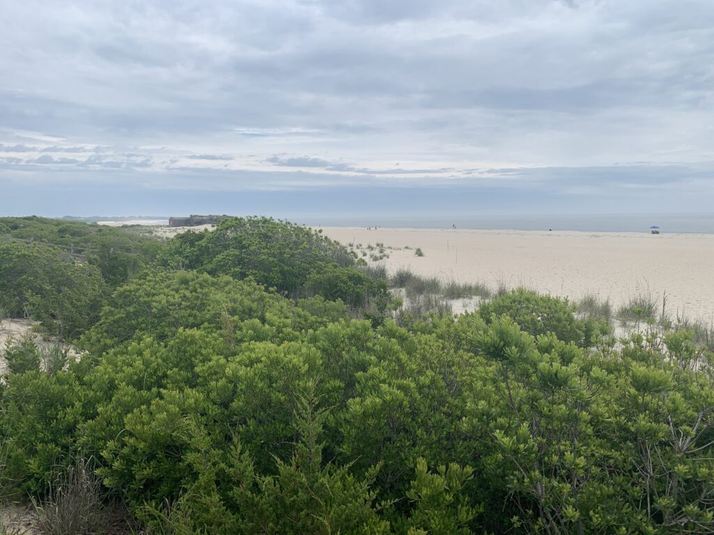 a landscape with trees and bushes (MyCoast AI)
