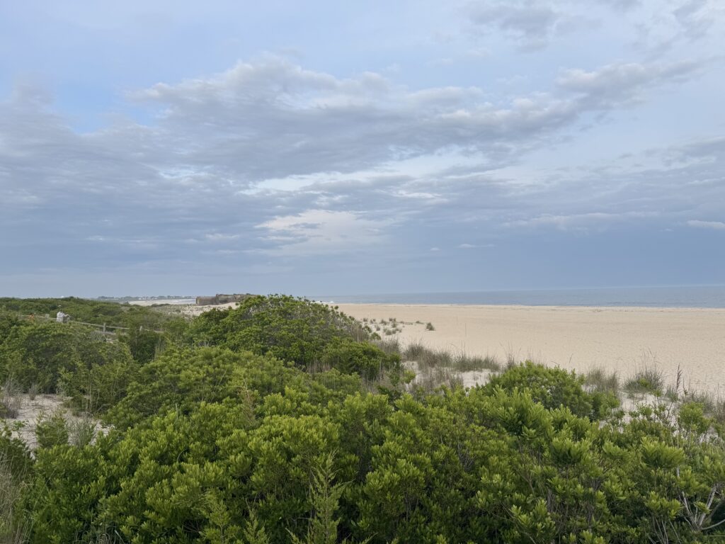 a landscape with trees and bushes (MyCoast AI)
