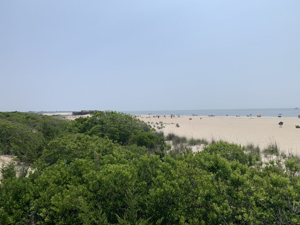 a landscape with trees and bushes (MyCoast AI)