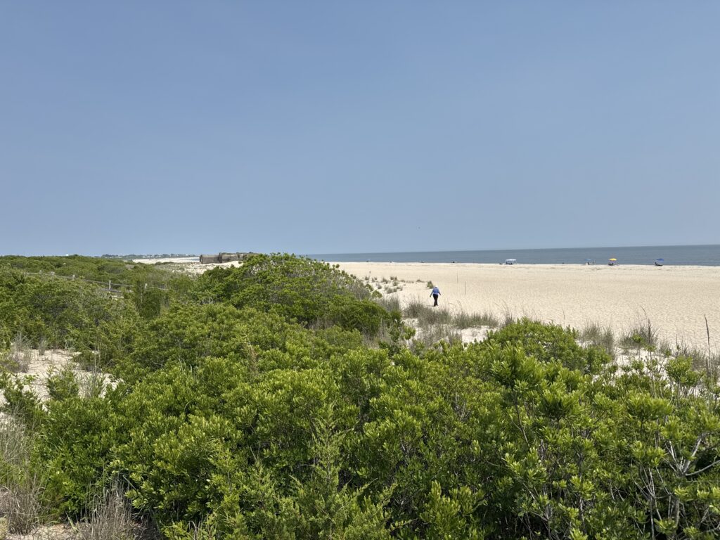 a person walking on a beach (MyCoast AI)
