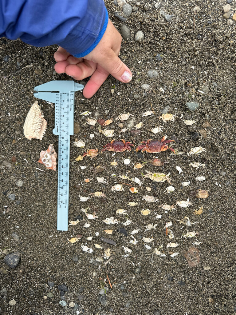 a person holding a blue tool (MyCoast AI)