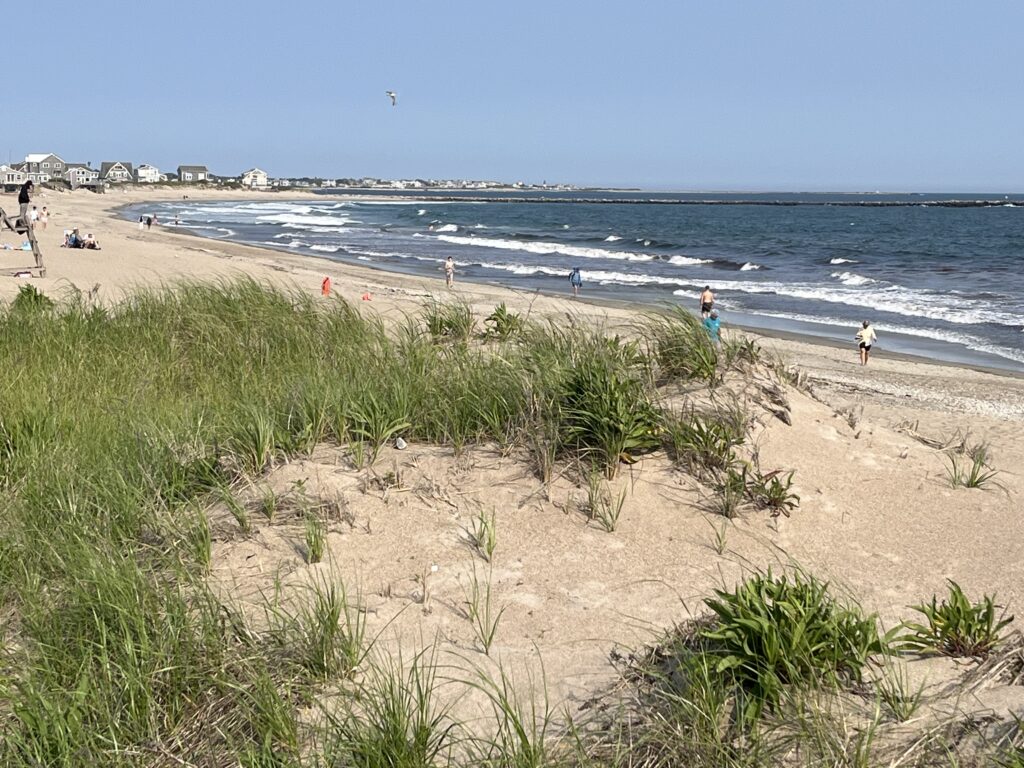 people on a beach (MyCoast AI)