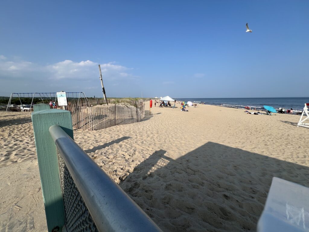 a sandy beach with a fence and a bird flying over it (MyCoast AI)