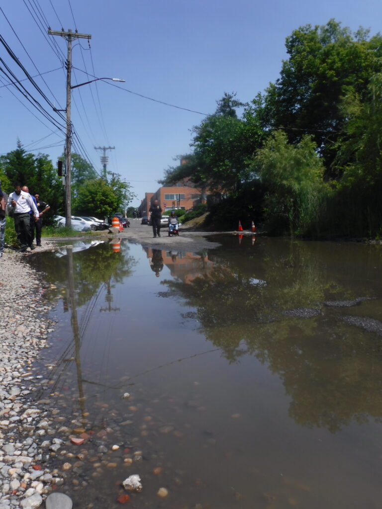 a flooded street with people walking on the side (MyCoast AI)
