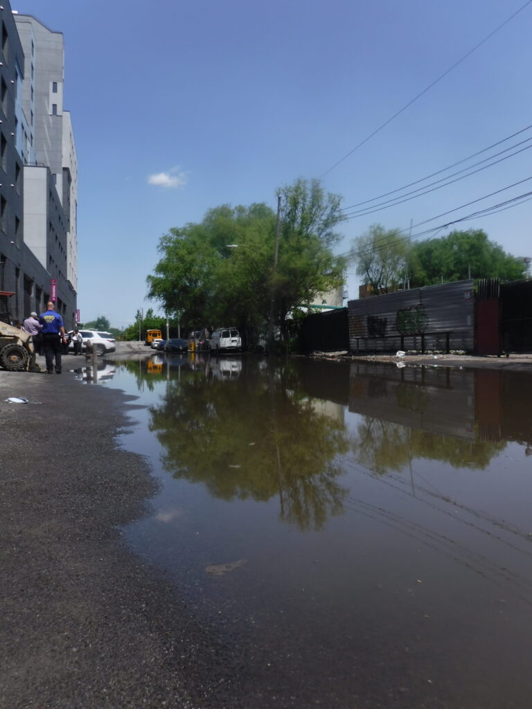 a flooded street with a tree (MyCoast AI)