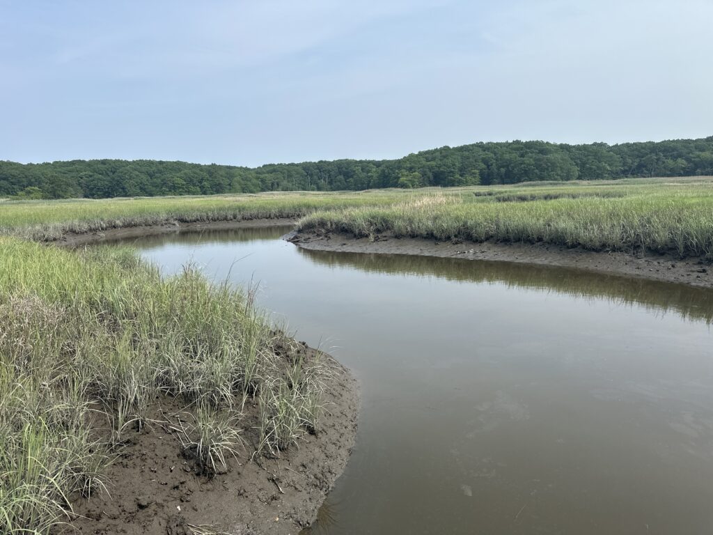a body of water with grass and trees around it (MyCoast AI)