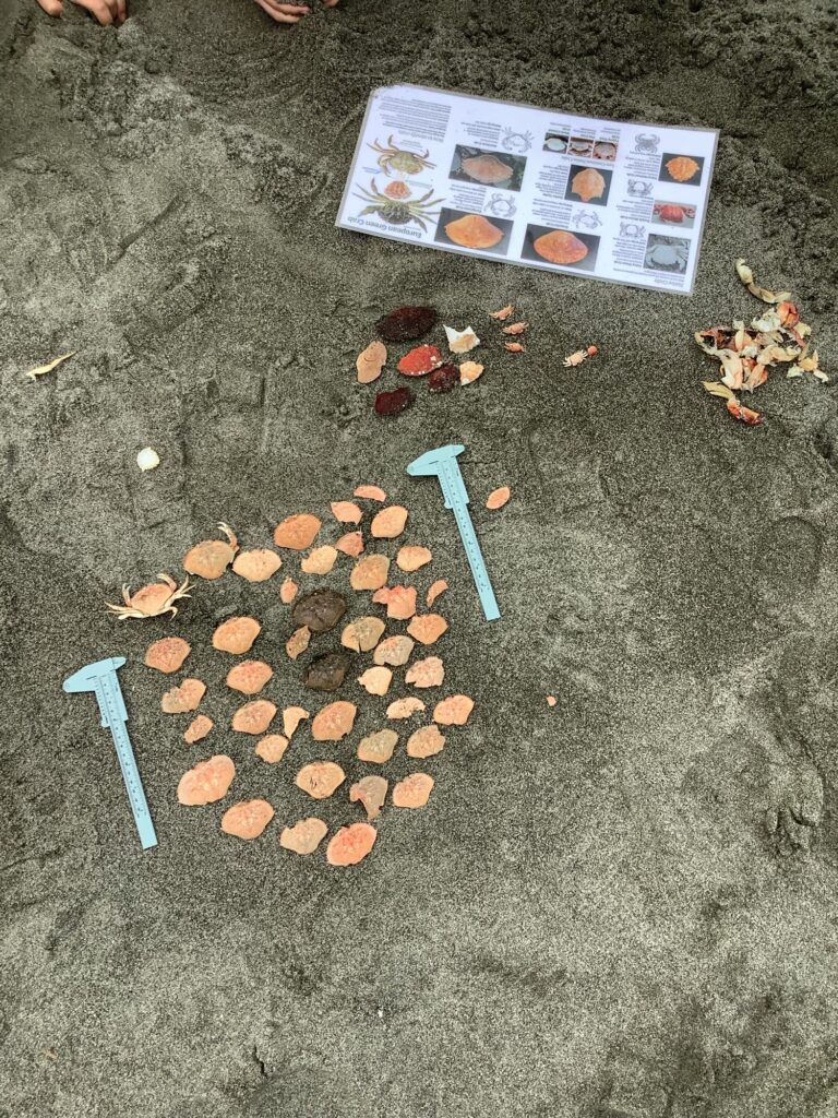 a box of food and a box of food on the ground (MyCoast AI)