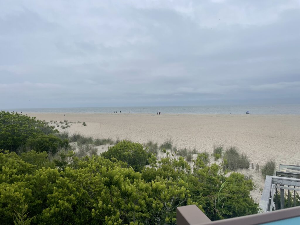 a beach with trees and bushes (MyCoast AI)