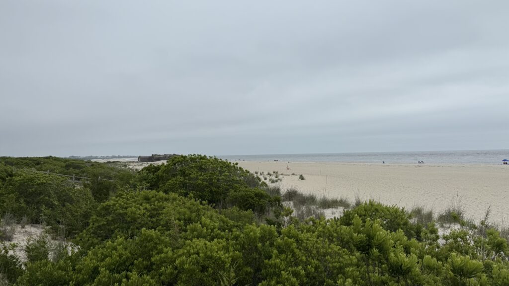 a beach with trees and bushes (MyCoast AI)