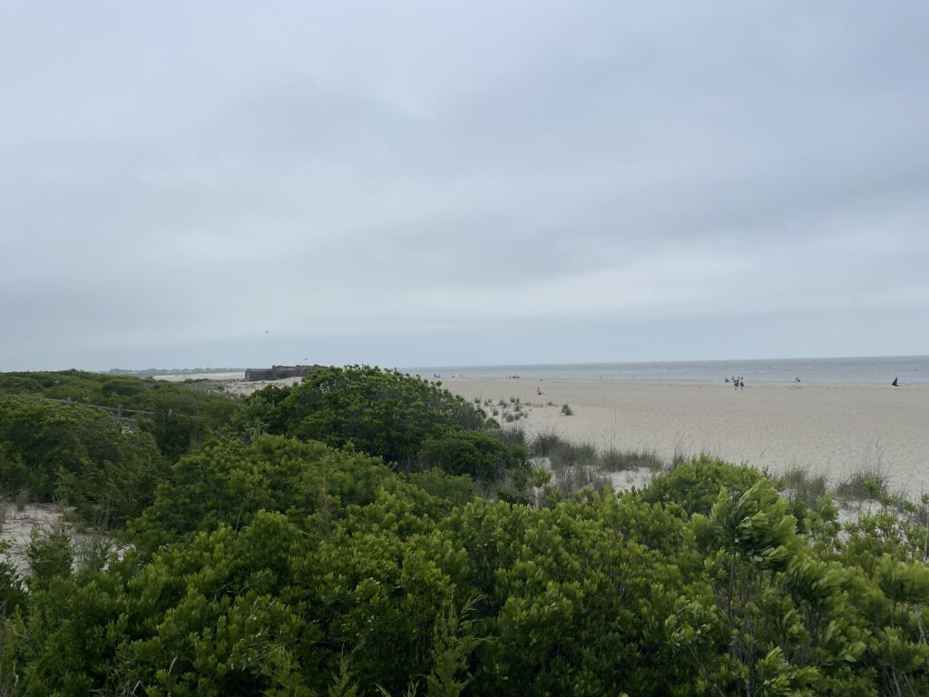a beach with trees and bushes (MyCoast AI)