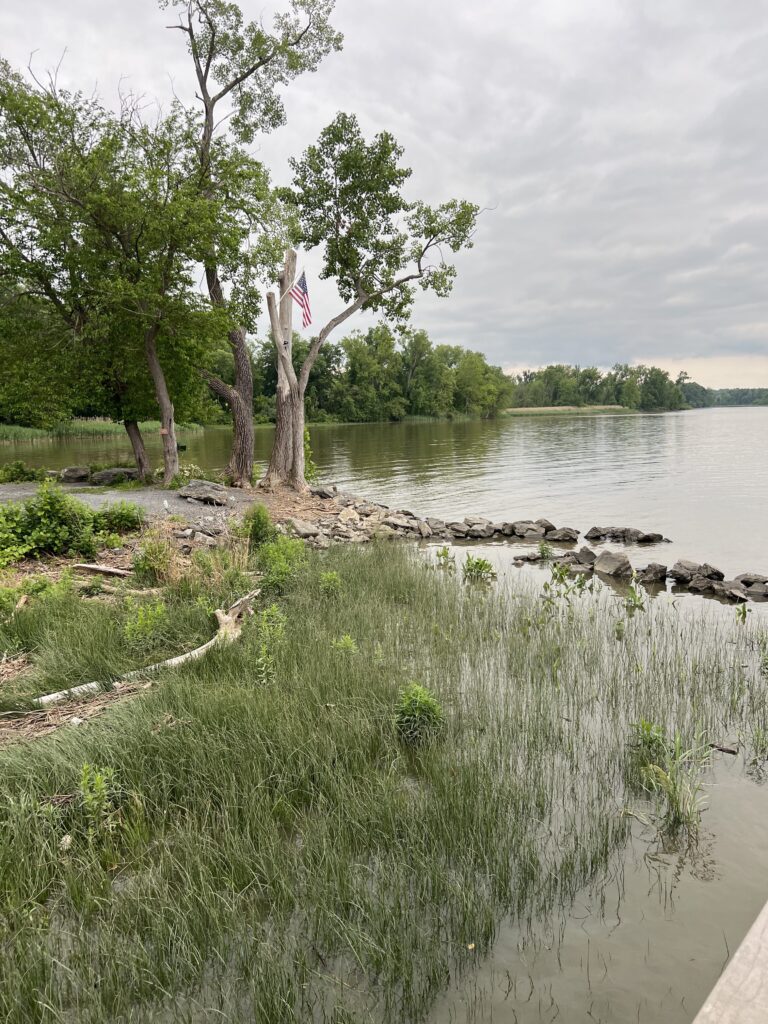 a river with grass and trees (MyCoast AI)