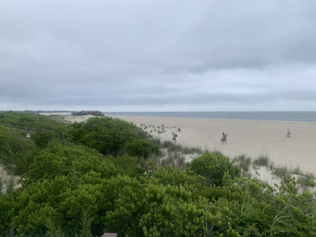 a group of people walking on a beach (MyCoast AI)