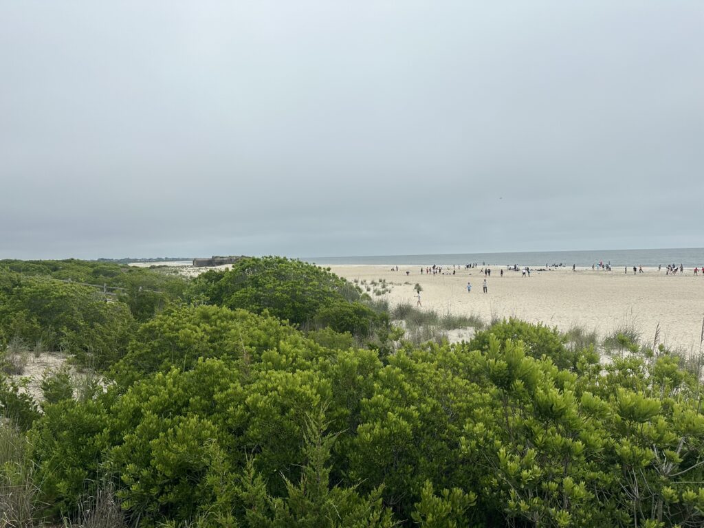 a group of people walking on a beach (MyCoast AI)