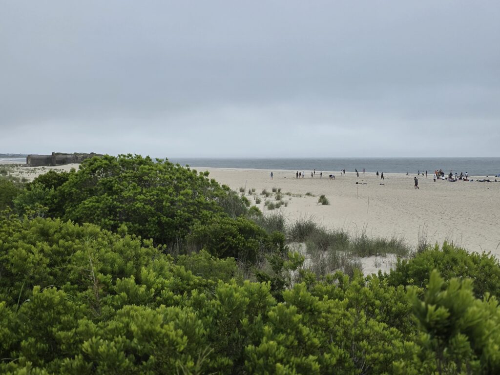 a beach with people walking on it (MyCoast AI)