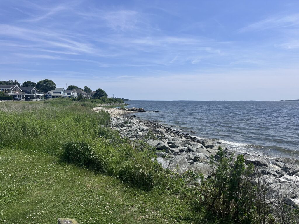 a rocky beach with houses and trees (MyCoast AI)