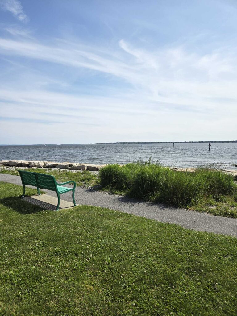 a green bench sits by the water (MyCoast AI)