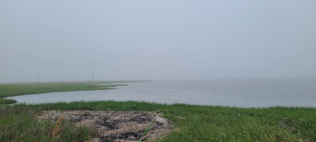 a body of water with grass and a land with a land in the back (MyCoast AI)