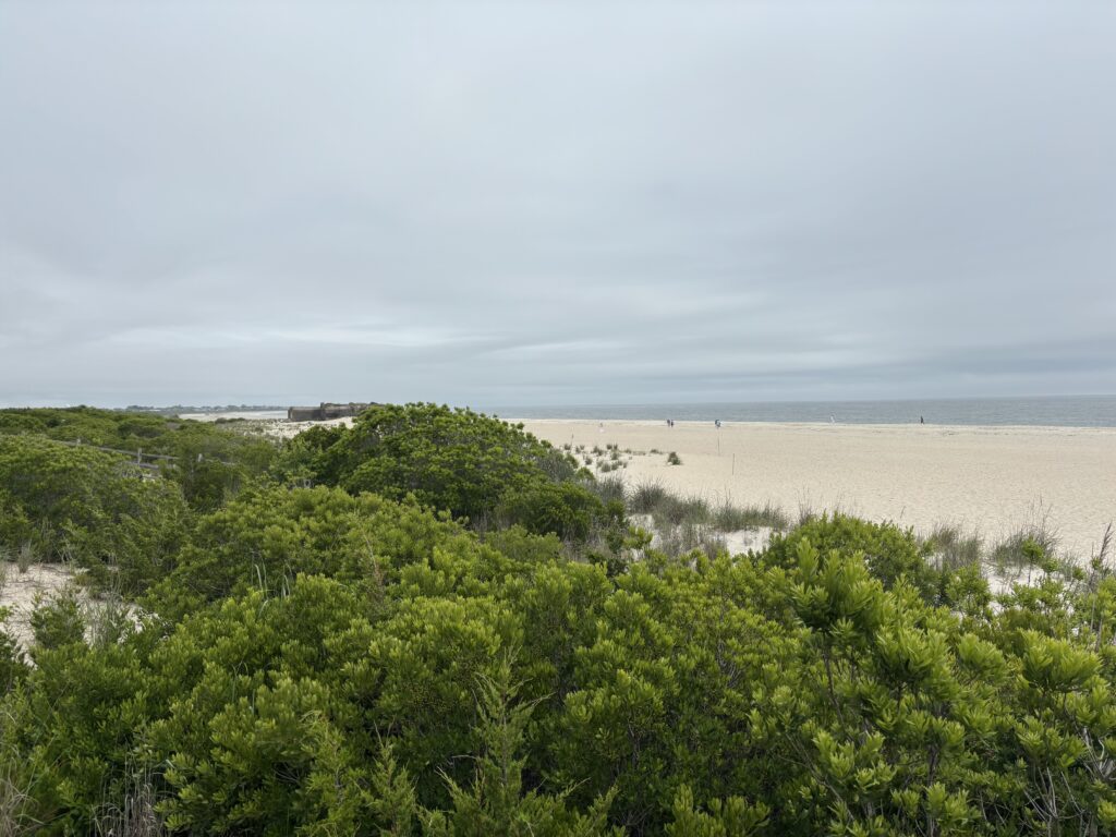 a landscape with trees and a body of water in the background (MyCoast AI)