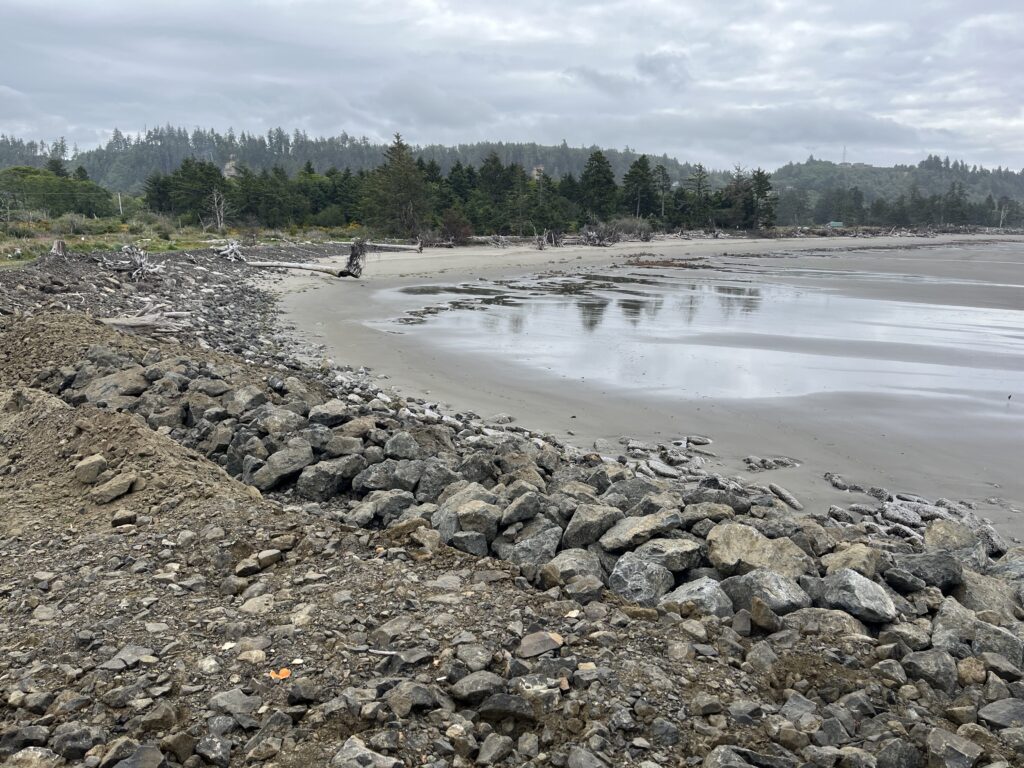 a rocky beach with trees in the background (MyCoast AI)