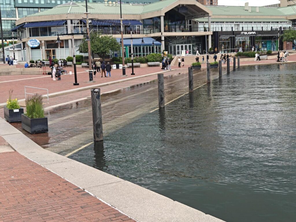 a body of water with buildings around it (MyCoast AI)
