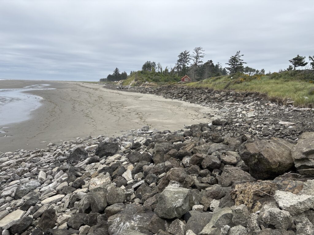 a rocky beach with trees in the background (MyCoast AI)