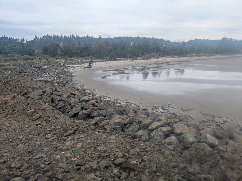 a rocky beach with a body of water and trees in the background (MyCoast AI)