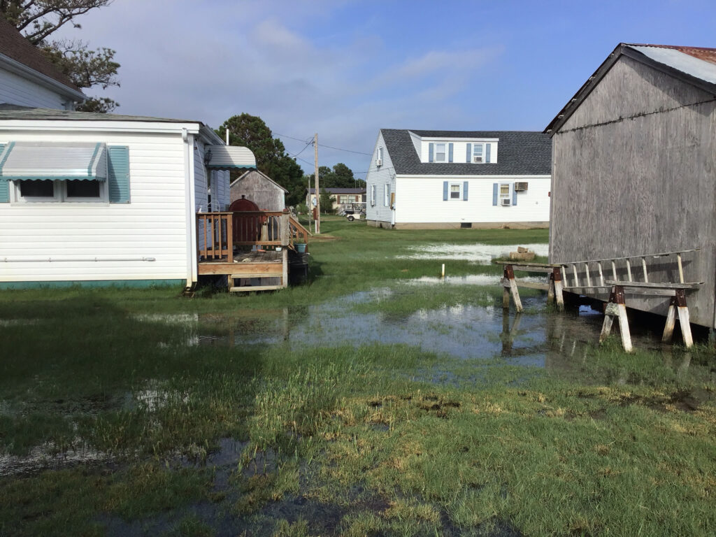a person standing in a flooded area (MyCoast AI)