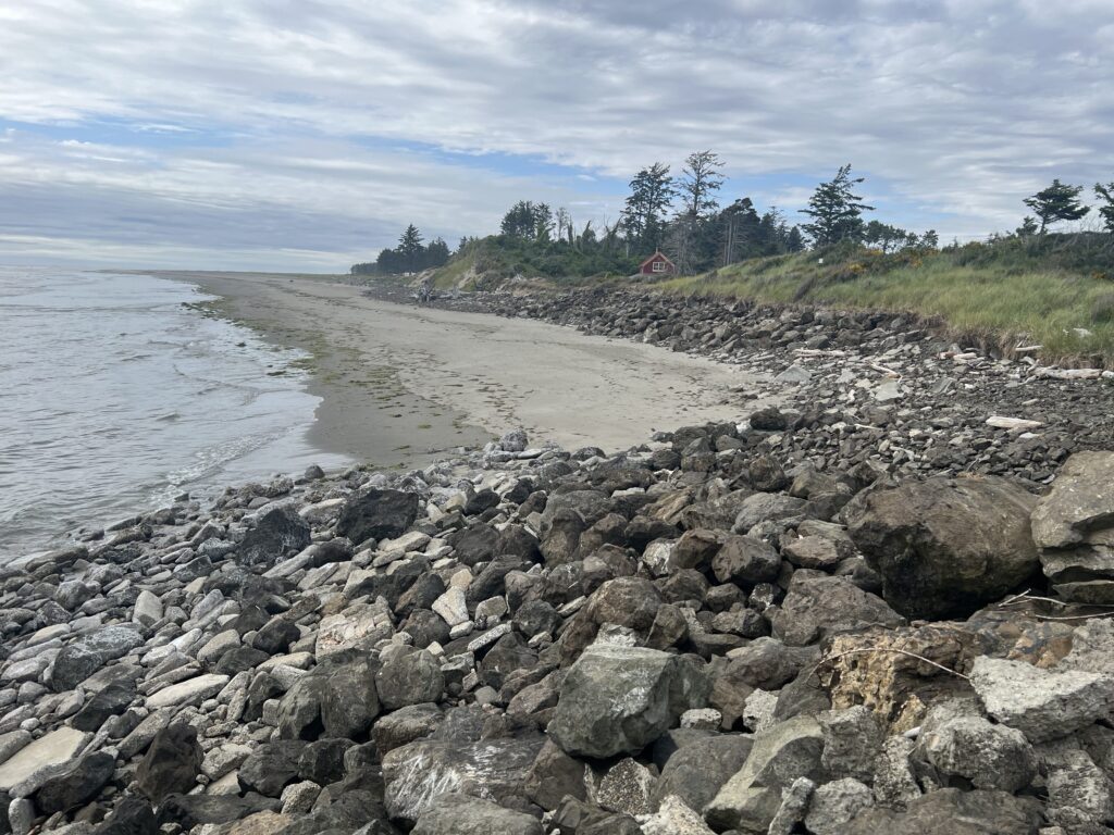 a rocky beach with trees and a hill in the background (MyCoast AI)