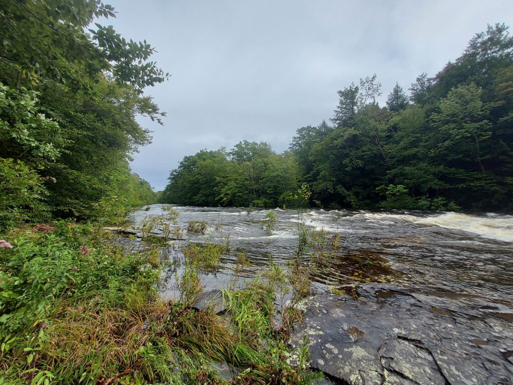 a river with rocks and trees (MyCoast AI)
