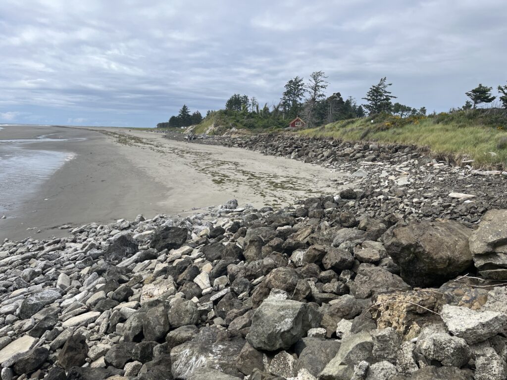 a rocky beach with trees and water (MyCoast AI)