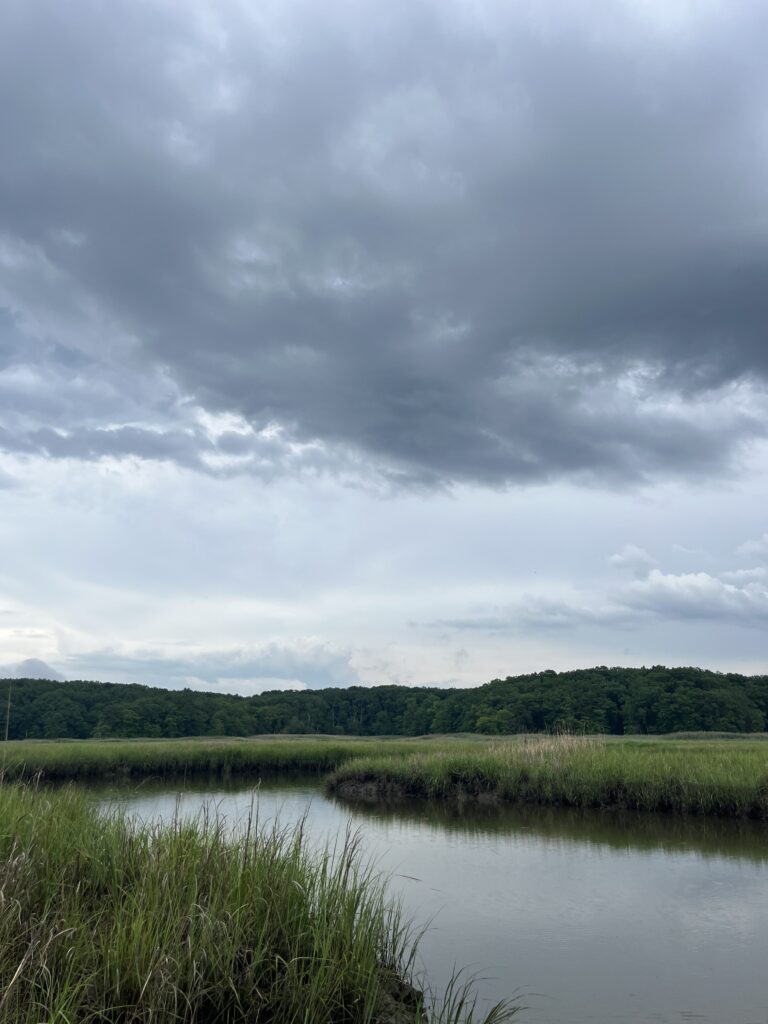 a body of water with grass and trees around it (MyCoast AI)