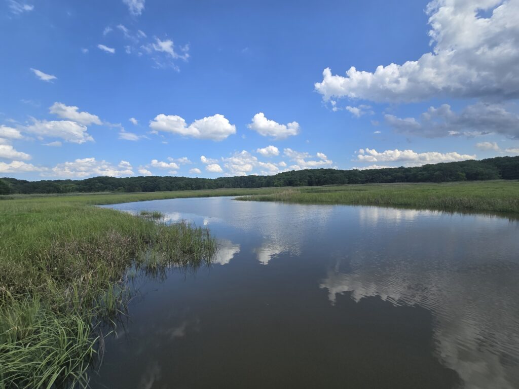 a body of water with grass and trees around it (MyCoast AI)