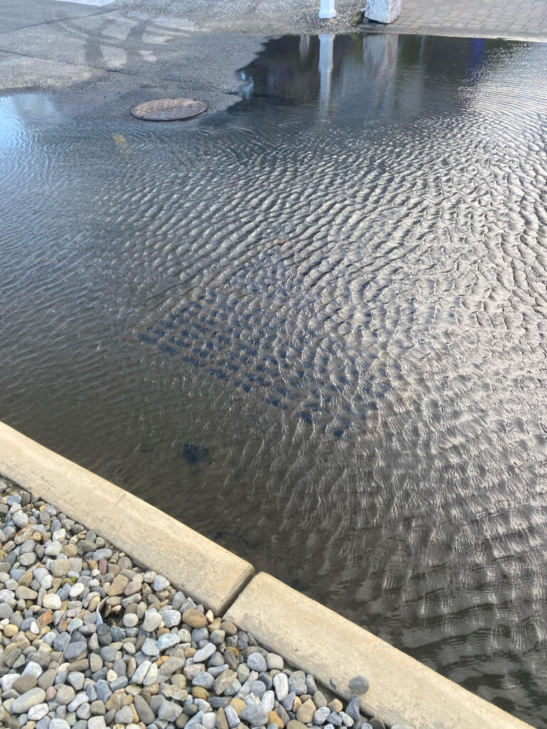 a puddle of water with rocks (MyCoast AI)