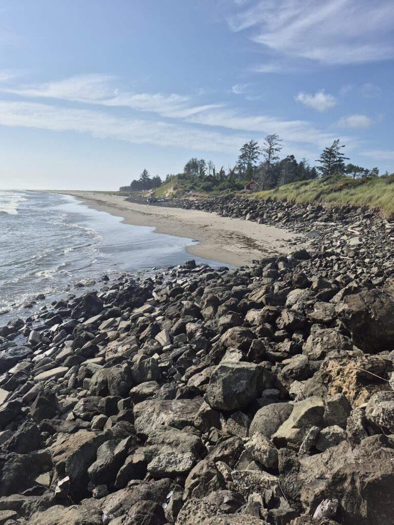 a rocky beach with trees and water (MyCoast AI)