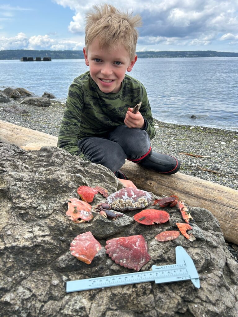 a boy sitting on a dock with a pile of red rocks (MyCoast AI)