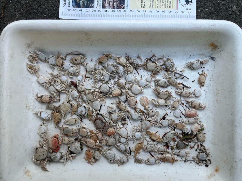 a container of rocks (MyCoast AI)