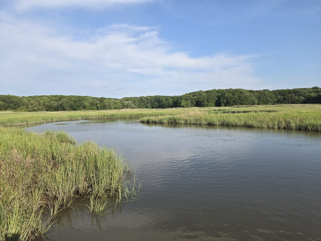 a river with grass and trees (MyCoast AI)