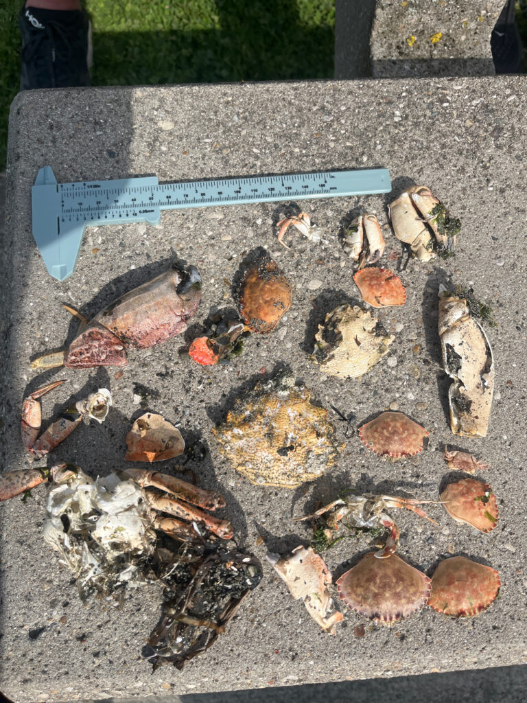 a sign on the ground (MyCoast AI)
