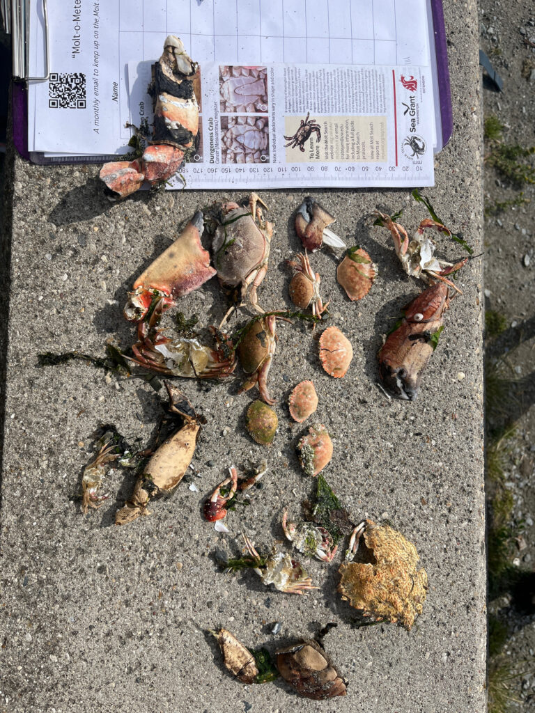 a pile of leaves and papers (MyCoast AI)