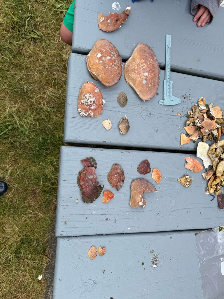 a group of mushrooms on a cutting board (MyCoast AI)