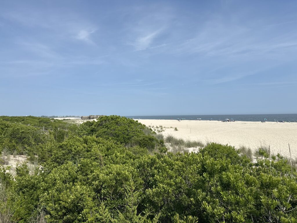 a beach with trees and bushes (MyCoast AI)