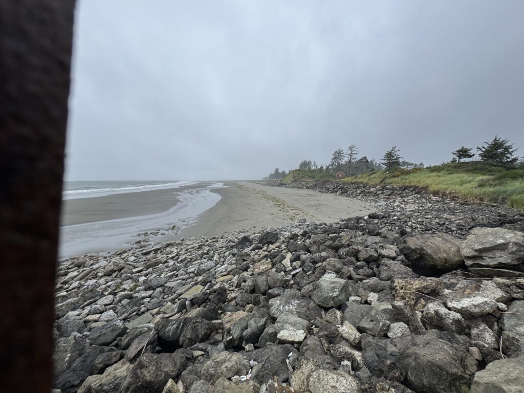 a rocky beach with trees and water (MyCoast AI)