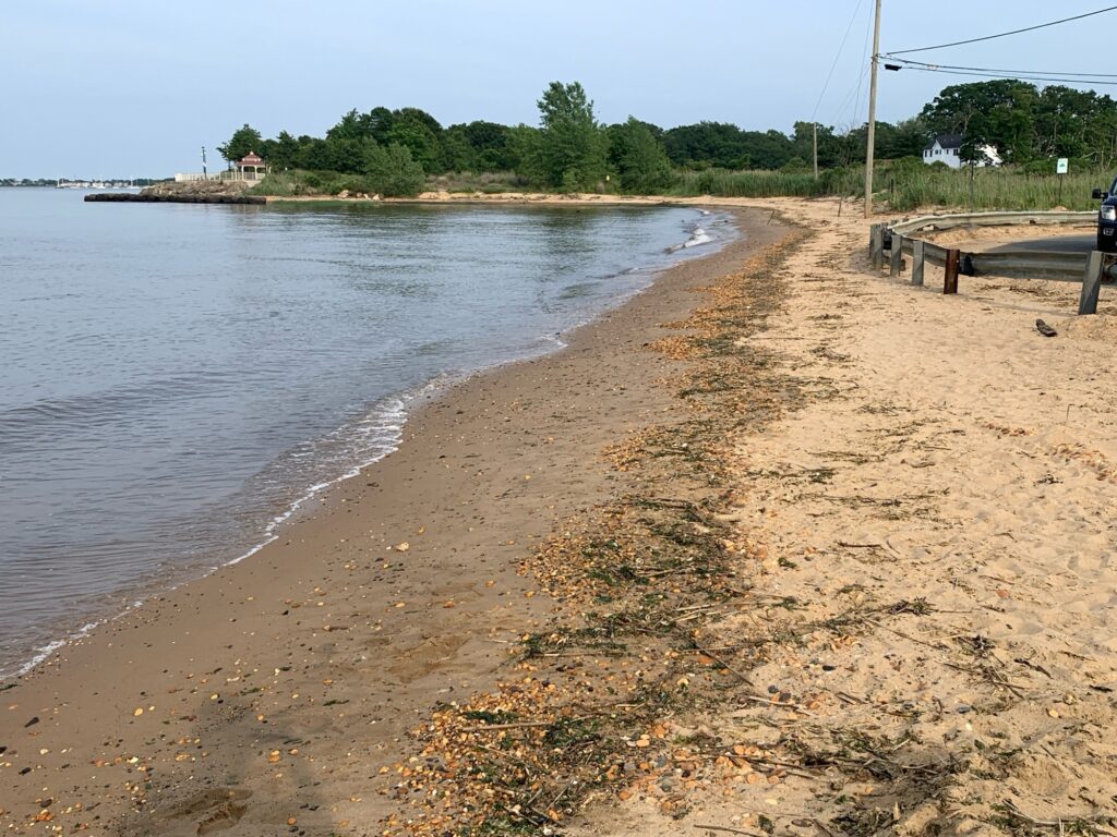 a beach with a body of water (MyCoast AI)