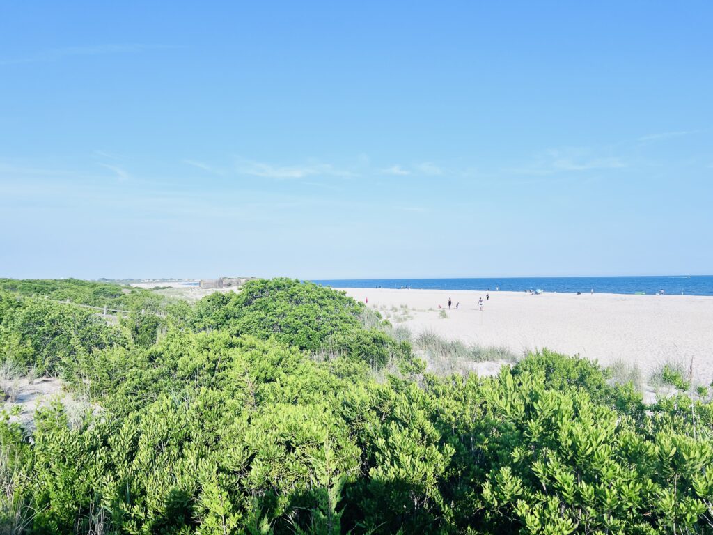 a beach with trees and bushes (MyCoast AI)