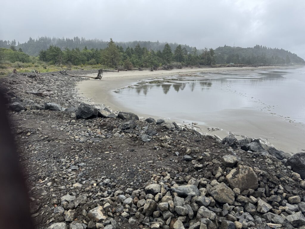 a rocky beach with trees in the background (MyCoast AI)