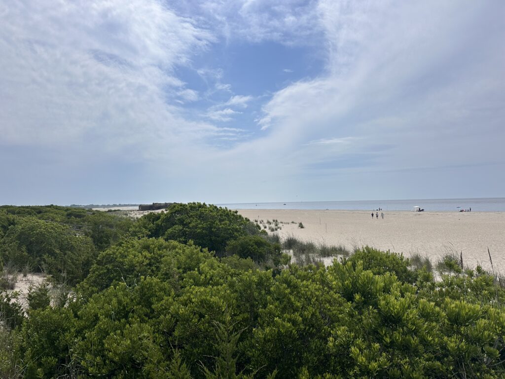 a beach with trees and bushes (MyCoast AI)