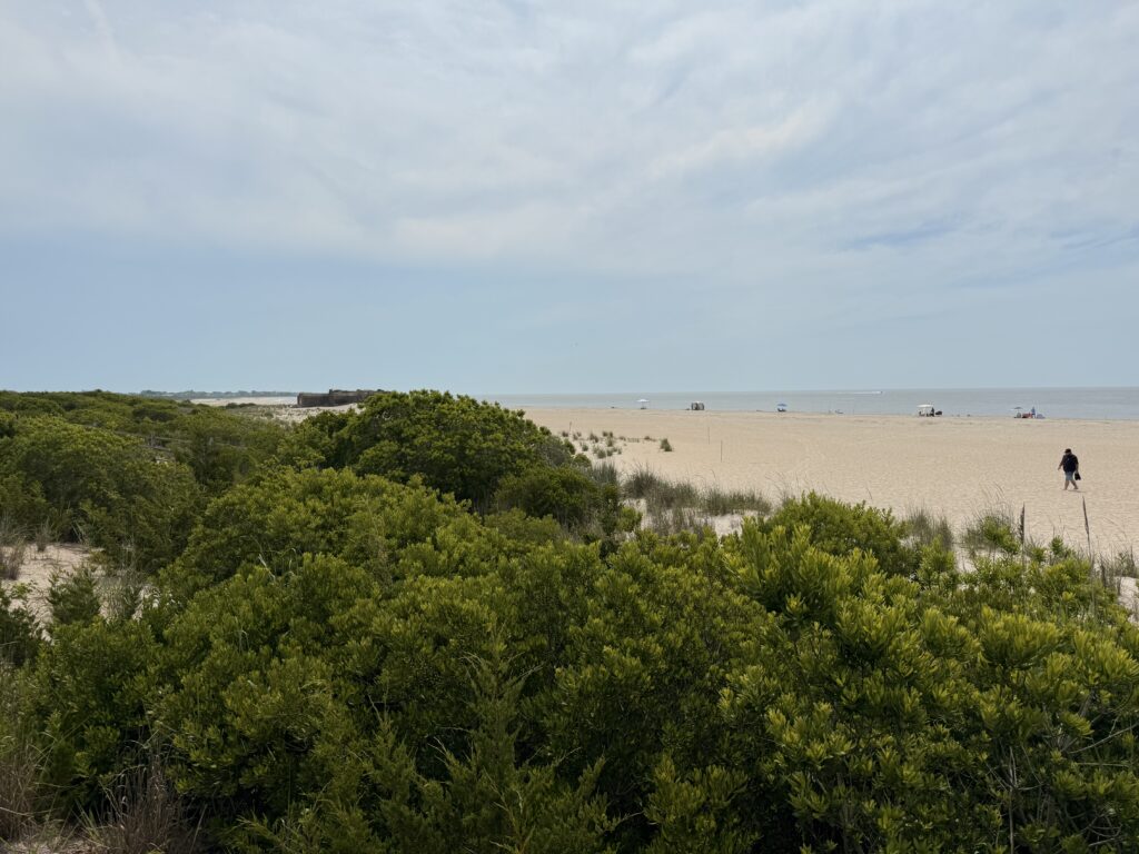 a person walking on a beach (MyCoast AI)