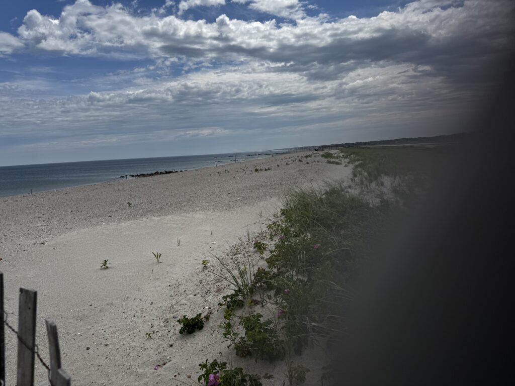 a beach with sand and water (MyCoast AI)
